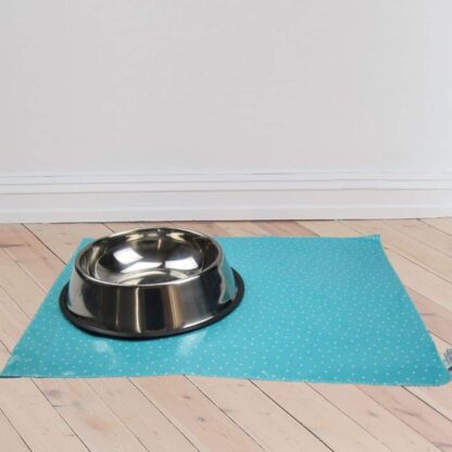 pet placemat on floorboards